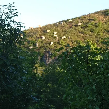 Alpstuga Le Des Remparts