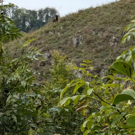 Le Des Remparts Aywaille